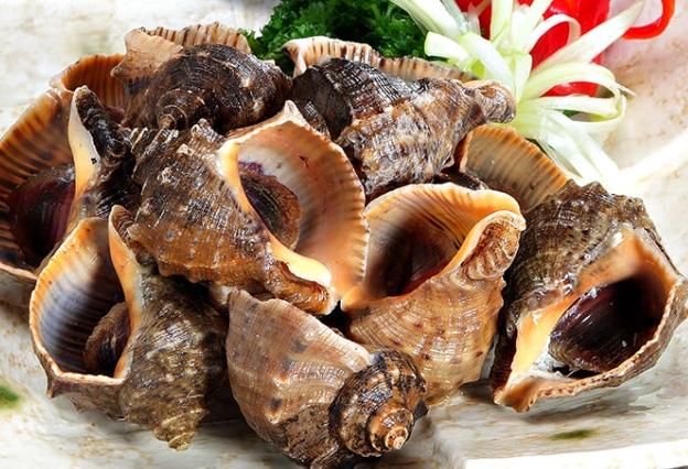 화성 피뿔고둥 양념코너 5호점&amp;#44; 궁평항 근처 회 맛집에서 만나는 제철 해산물