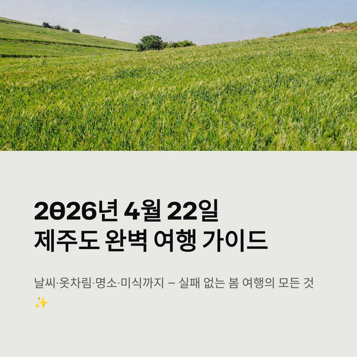 제주도 완벽 여행 가이드