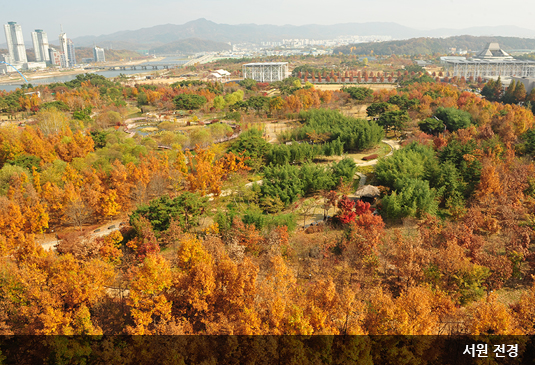 대전 한밭수목원 꽃구경