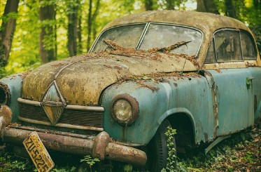 자동차세 납부 기간