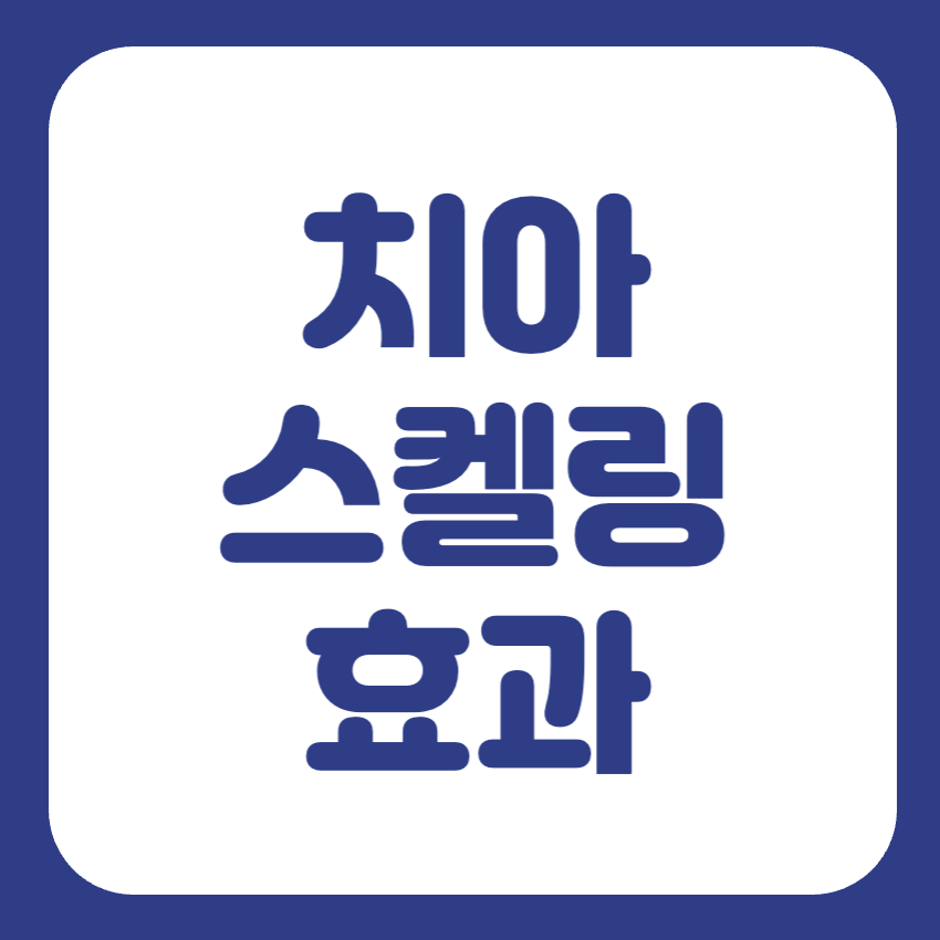 치과 스케일링 가격 썸네일