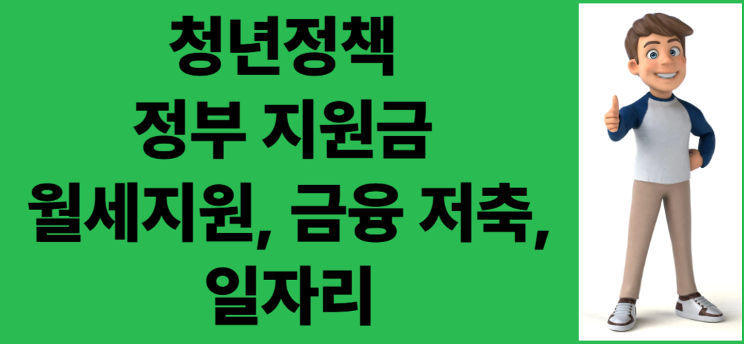 청년정책 정부 지원금
