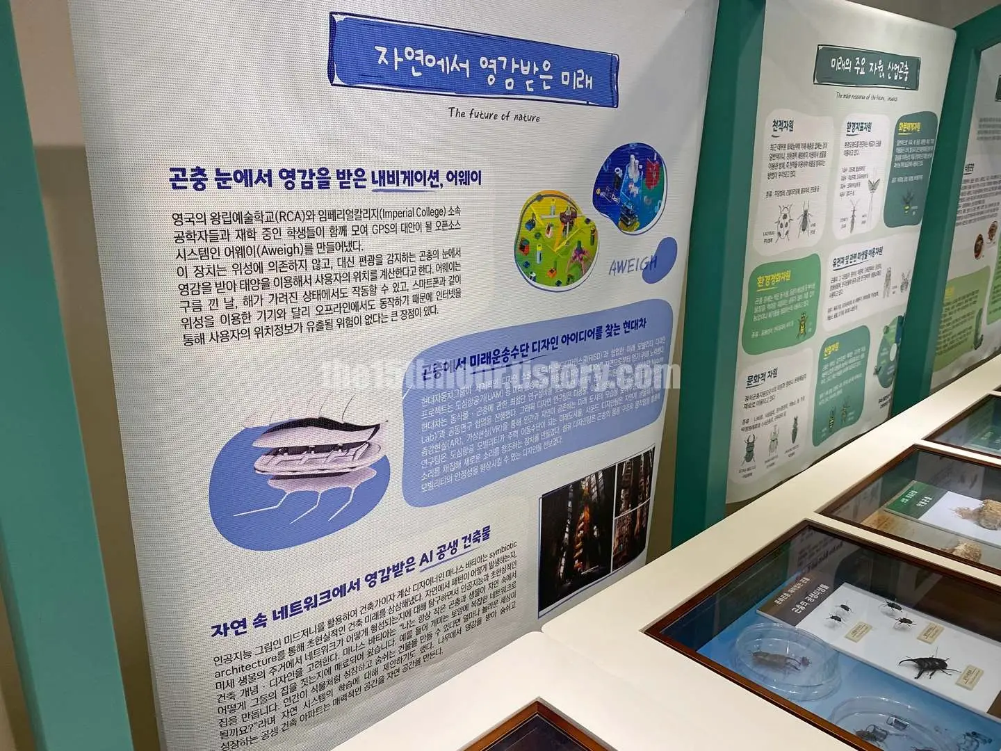 경남 의령 &amp;#39;의령 곤충생태학습관&amp;#39; (2층 &amp;#39;곤충 탐구관&amp;#39;)