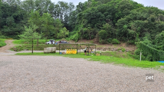 경기-연천-숲속의쉼터-캠핑장-예약-방법-애견-동반-가격-주소-시간-후기