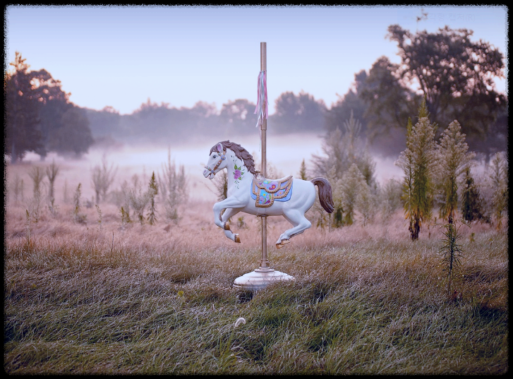 말띠와 토끼띠를 위한 공통 조언