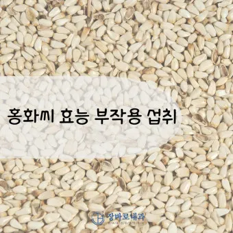 홍화씨 효능 영양성분 홍화씨유 먹는법_22