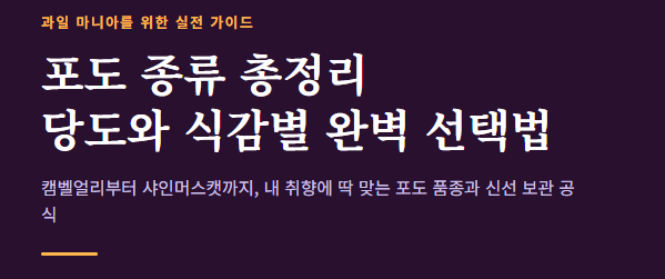 포도 종류