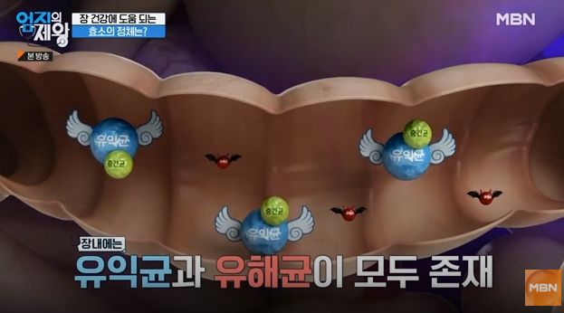 카무트, 카무트 효소