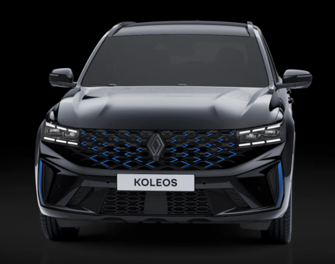 그랑 콜레오스 색상2