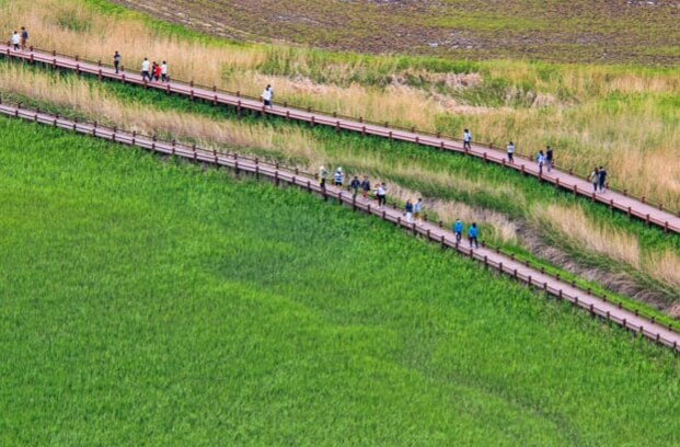 순천만습지