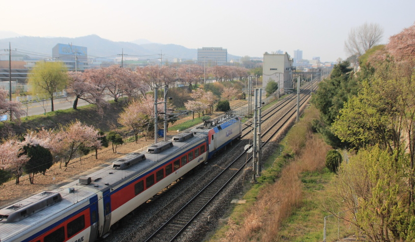 대중교통 당일치기 여행지 추천