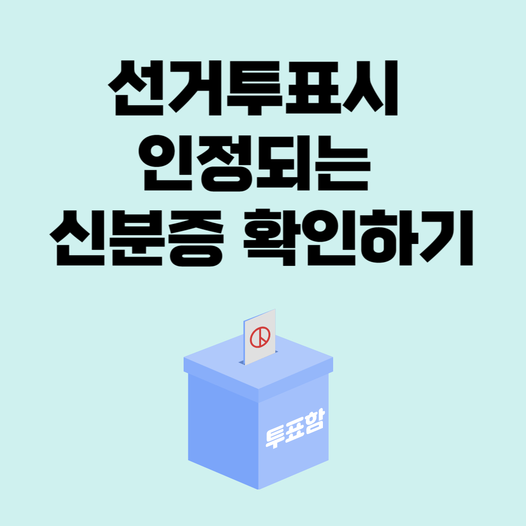 선거투표시 인정되는 신분증 확인하기