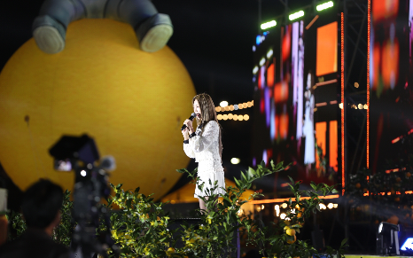 고흥유자축제 일정 프로그램 주변 맛집 숙소 교통 주차 정보