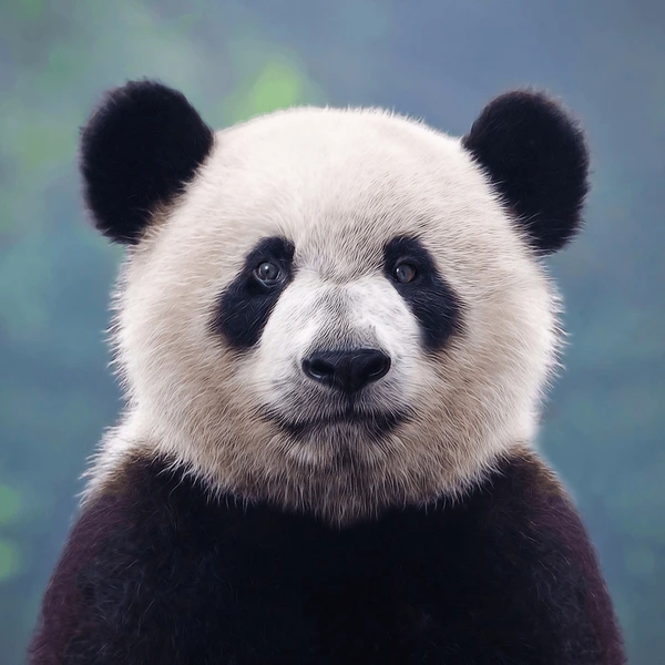 다크서클-치료 방법