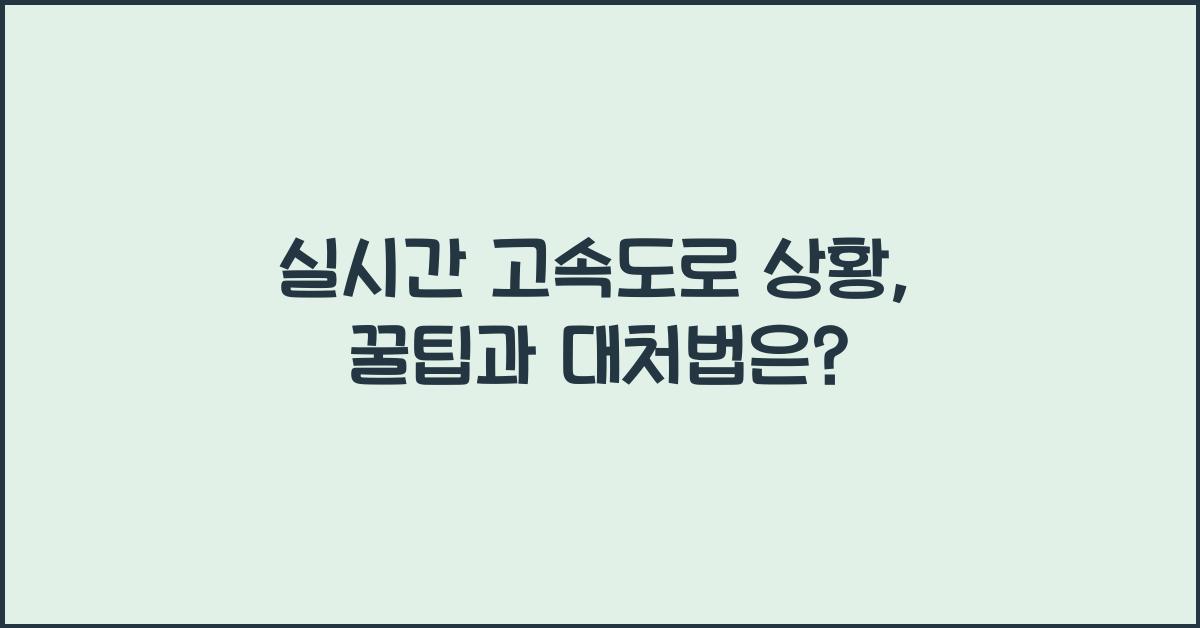 실시간 고속도로 상황