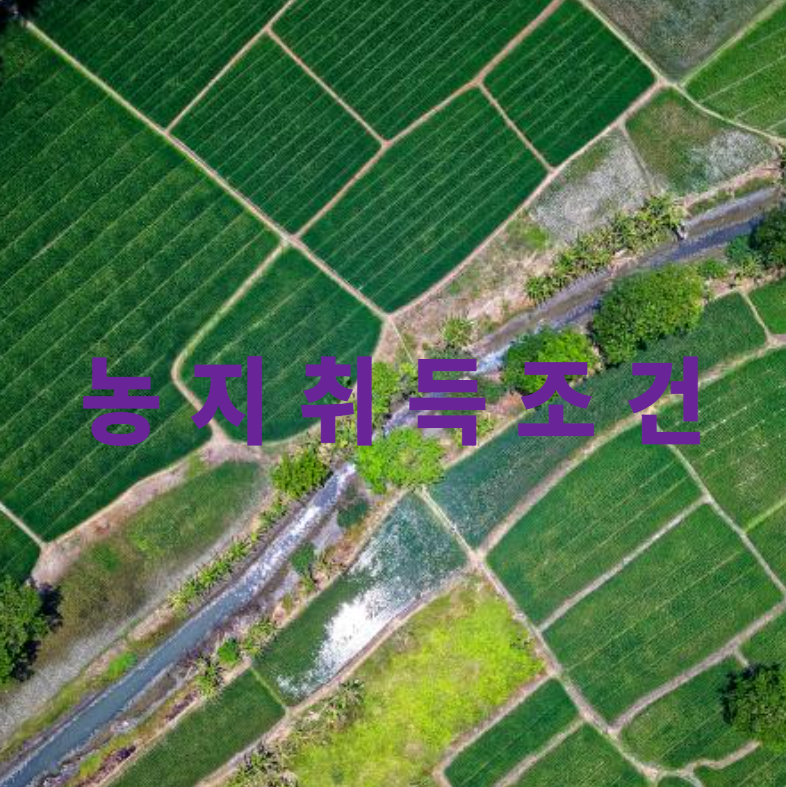 농지취득, 농지자격증명, 농지법, 자경요건, 농업경영계획서, 농지투자, 귀농귀촌, 농지전용, 농지매입절차, 합법농지전략