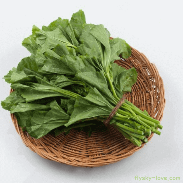 아욱 고르는 법