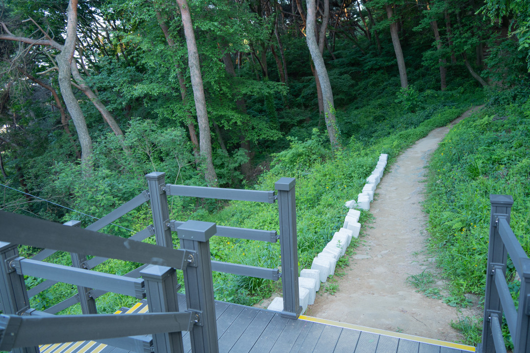 수원 팔달산 팔달산 내려가는길