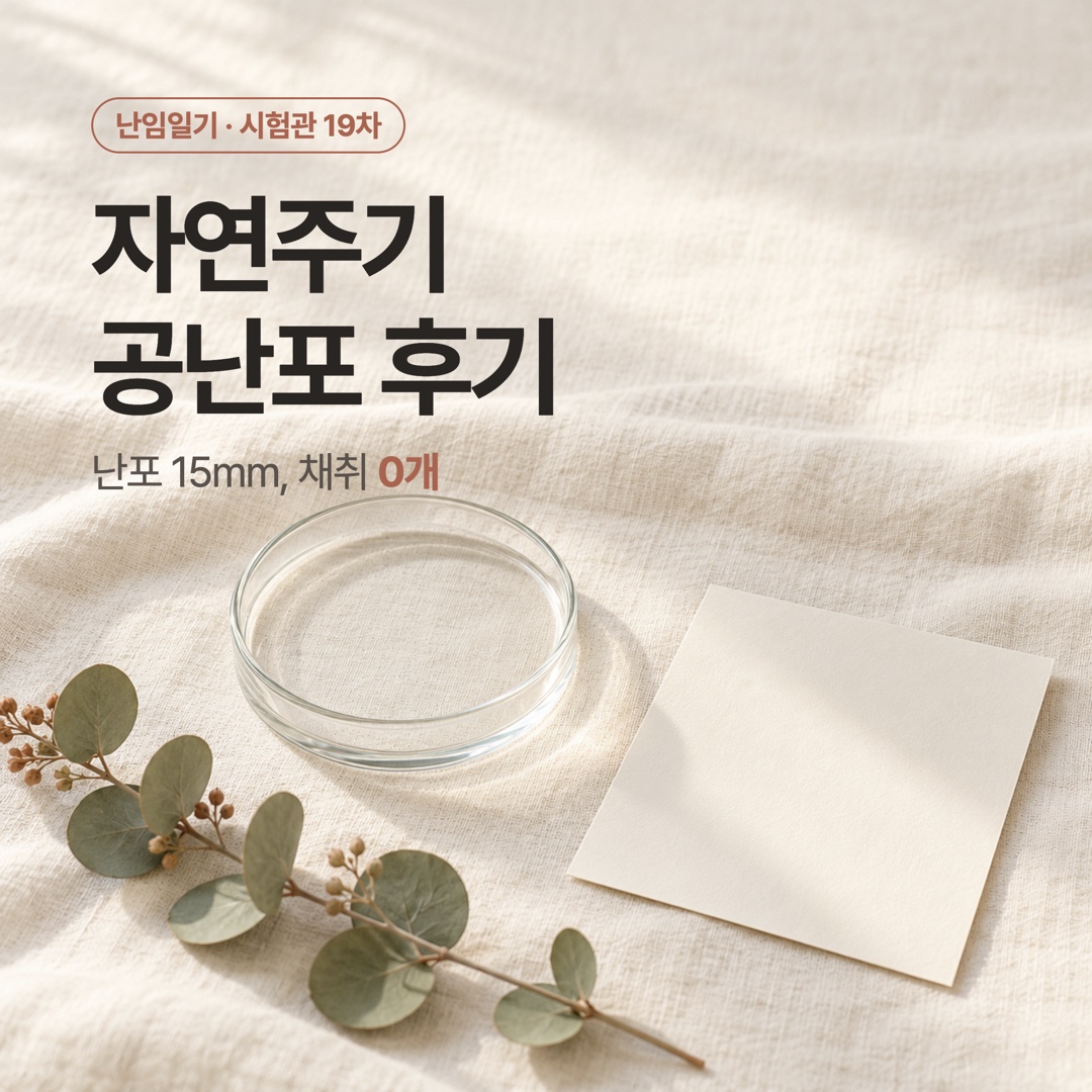 빈 유리 접시와 유칼립투스, 빈 카드가 놓인 리넨 위에 자연주기 공난포 후기 제목이 적힌 썸네일