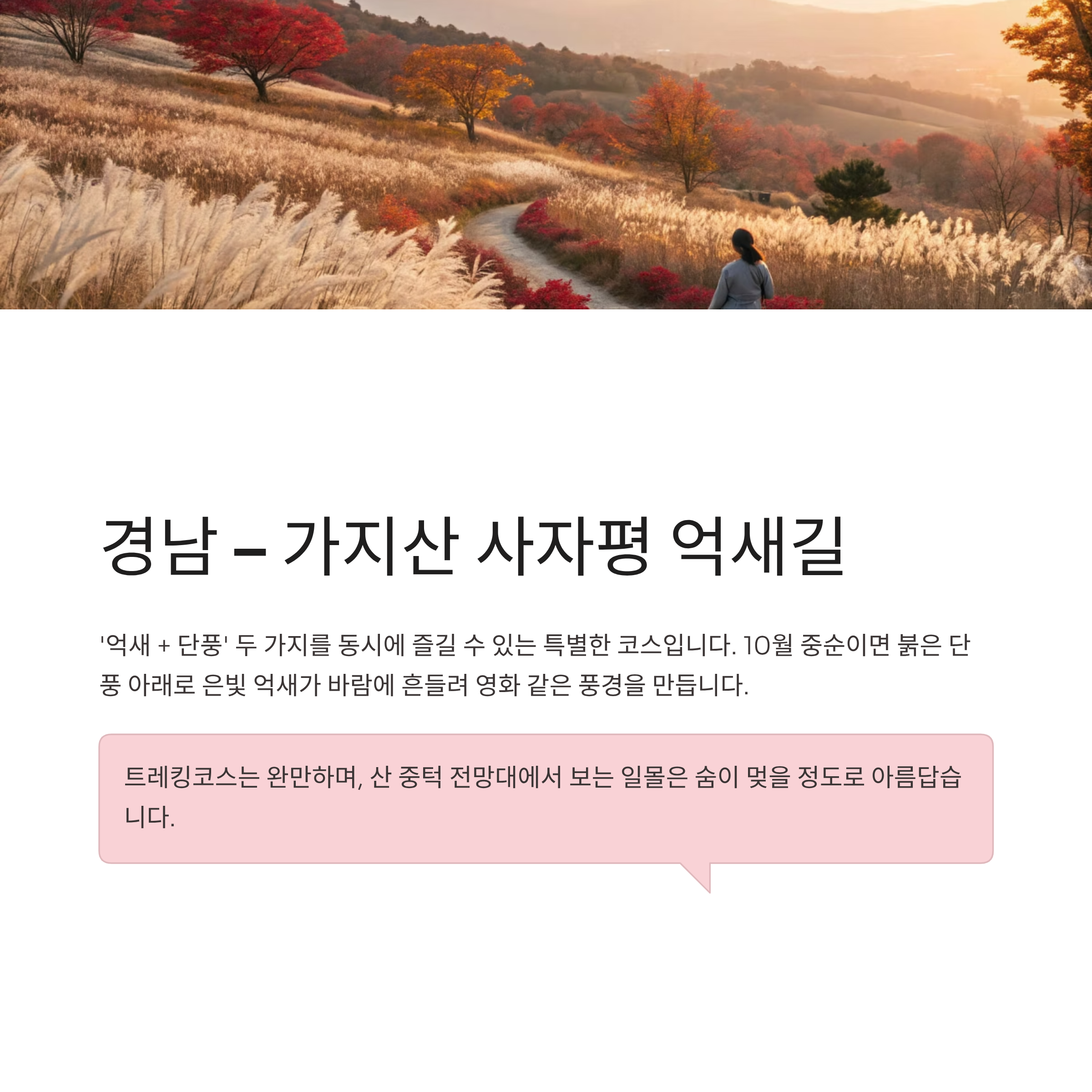 2025 가을 단풍 등산코스 추천 ❘ 혼잡 피해서 걷는 전국 힐링 명소 7선