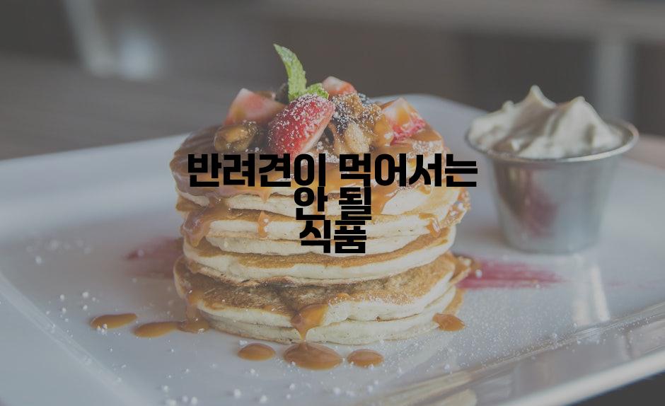 반려견이 먹어서는 안 될 식품