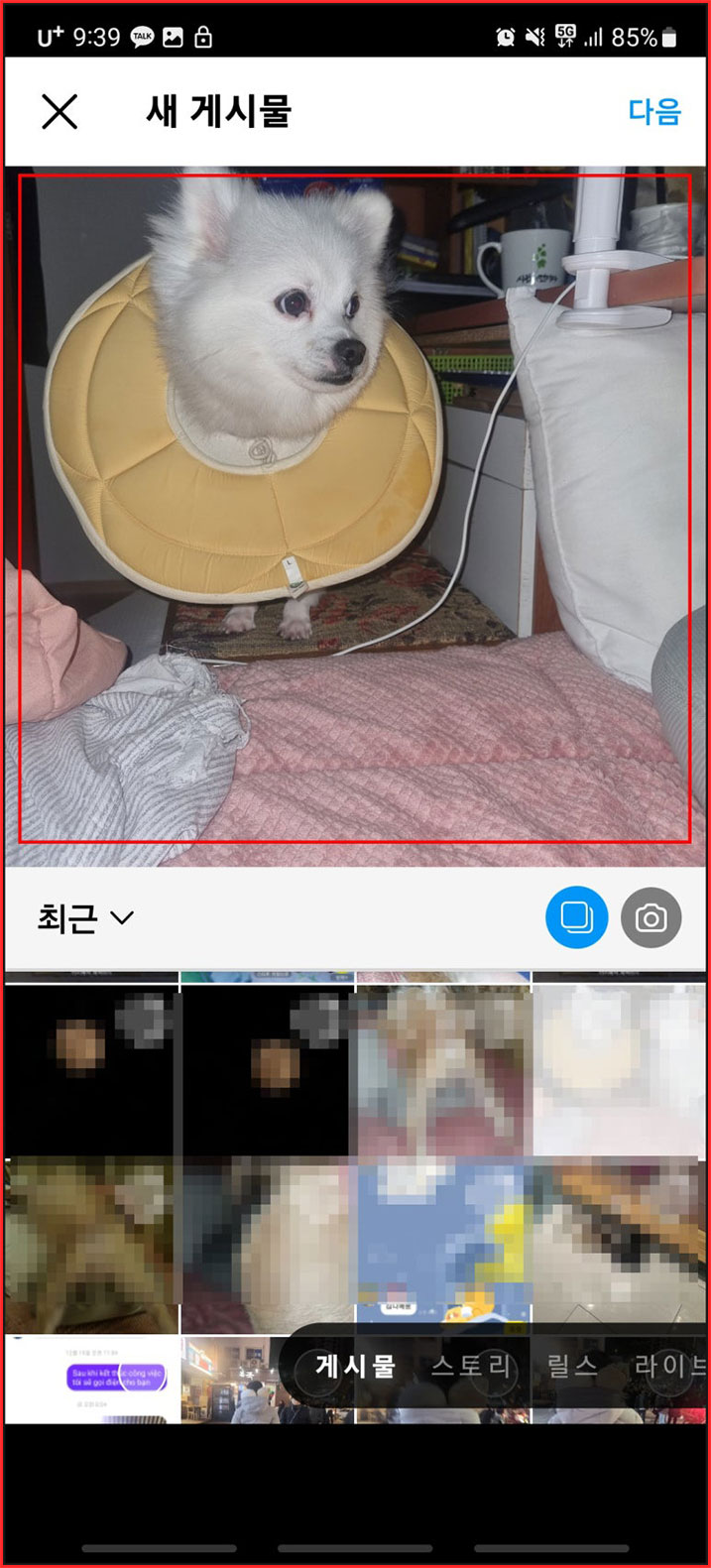 인스타그램 좋아요 수 숨기기