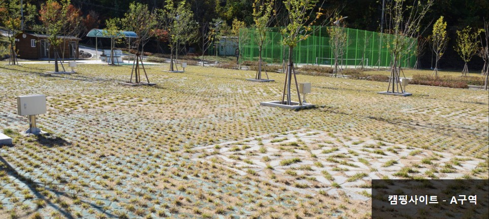 양평-맑은숲캠프