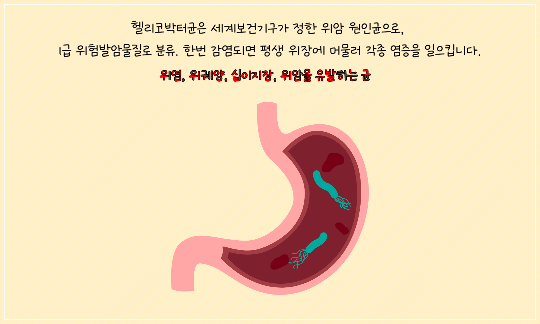 헬리코박터균의 위험성