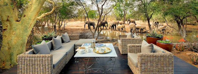 Timbavati_Private_Nature_Reserve