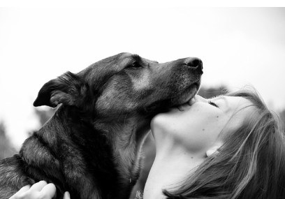 검은색 개가 보호자의 얼굴을 핥으며 교감하는 모습, 반려견과의 상호작용이 주는 안정감과 건강 효과를 보여줌