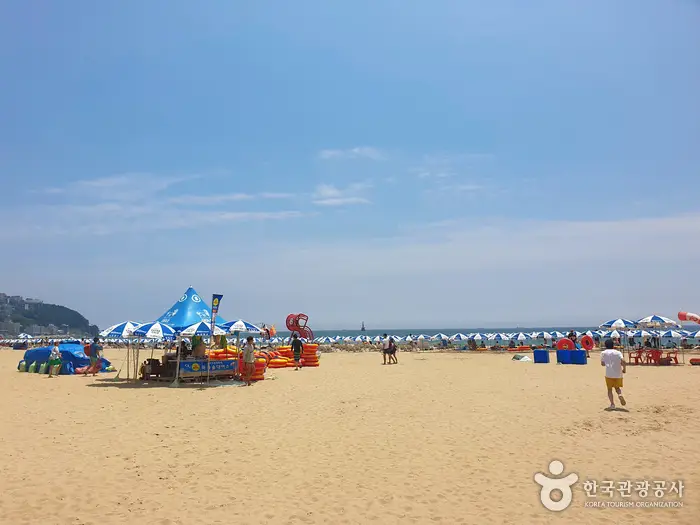 모래사장