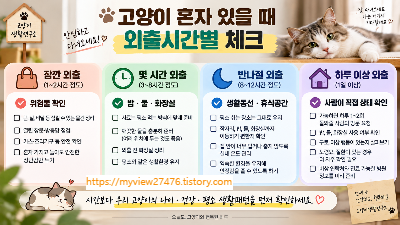 집냥이 혼자 있을 때 괜찮을까? 15살 노묘를 두고 외출하기 전 제가 확인하는 것들