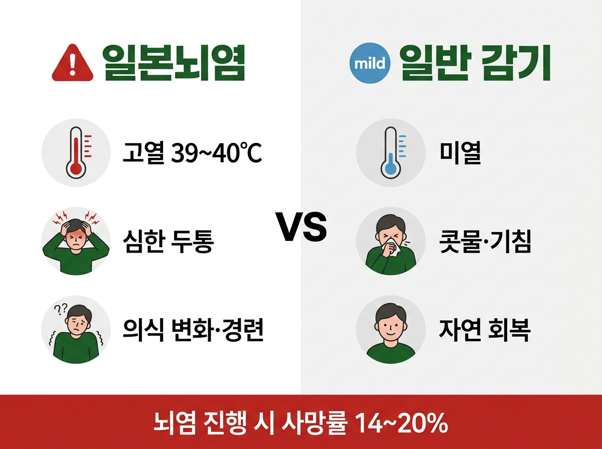 일본뇌염 증상 후유증, 일본뇌염 감기 차이, 뇌염 사망률, 일본뇌염 위험 신호