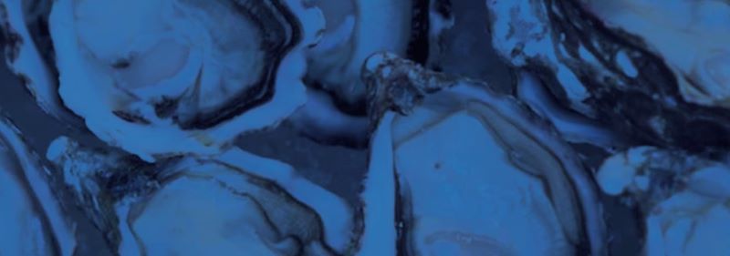 최고급 식재료 이미지 < 출처 : 카카오페이 >