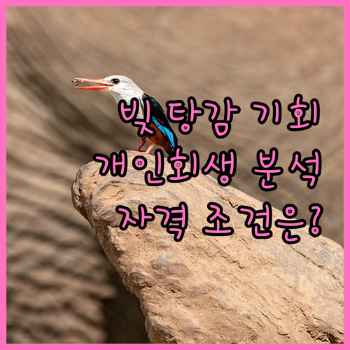 개인회생, 빚 탕감 기회? 자격 조건