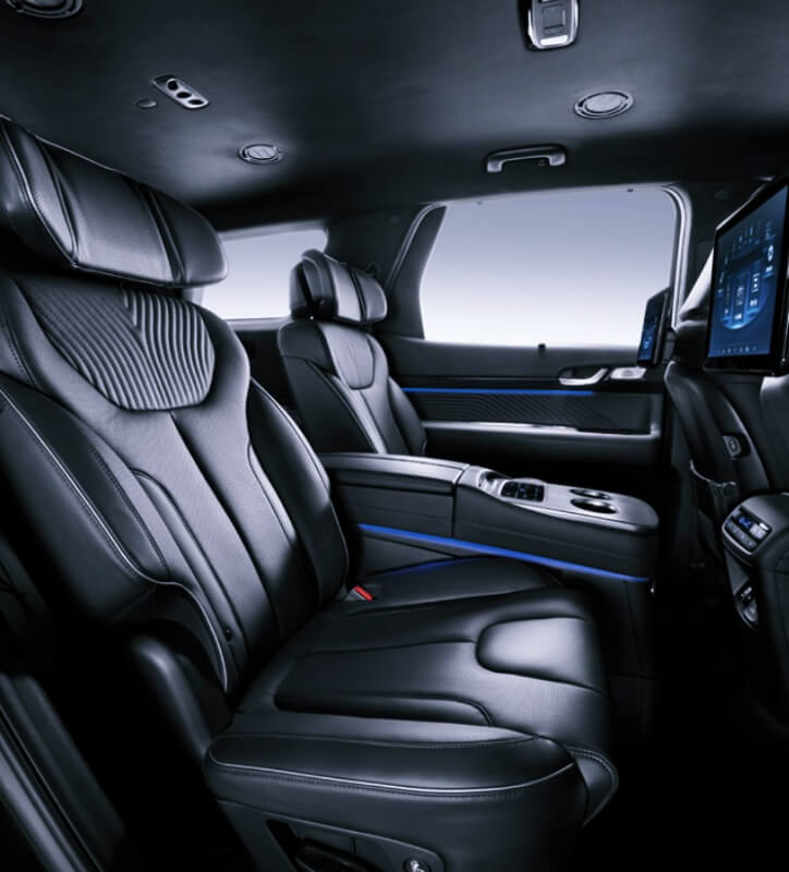 펠리세이드-뒷좌석