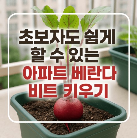 초보자도 쉽게 따라 하는 아파트 베란다 비트 키우기 사진