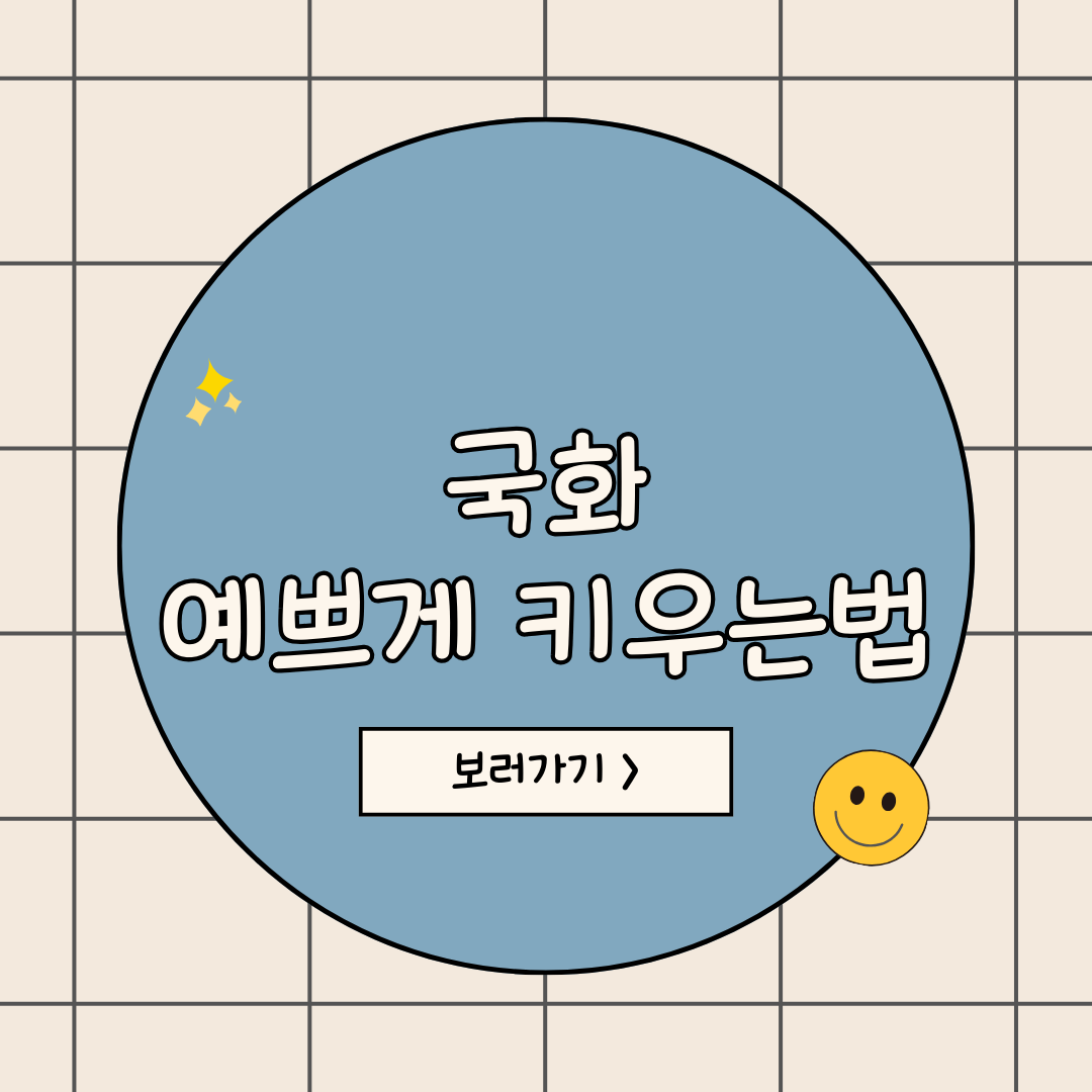 국화꽃 키우는법