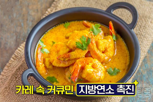 복부지방 빼는법 복부지방 태우는 음식 강황