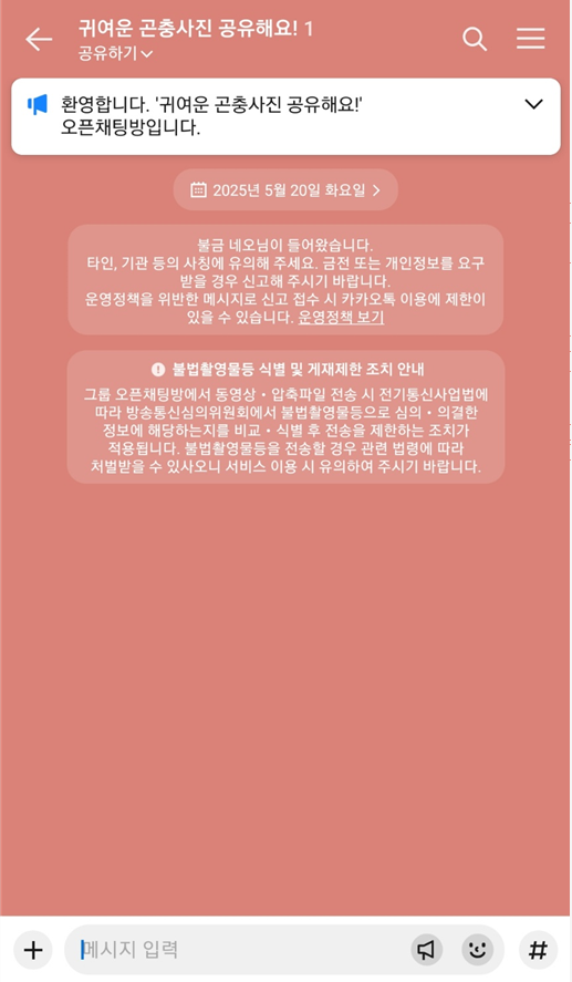 카카오톡에서 오픈채팅방 만드는 가장 쉬운 방법 (2025 최신)