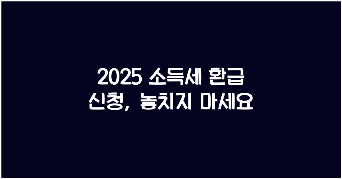 2025 소득세 환급 신청