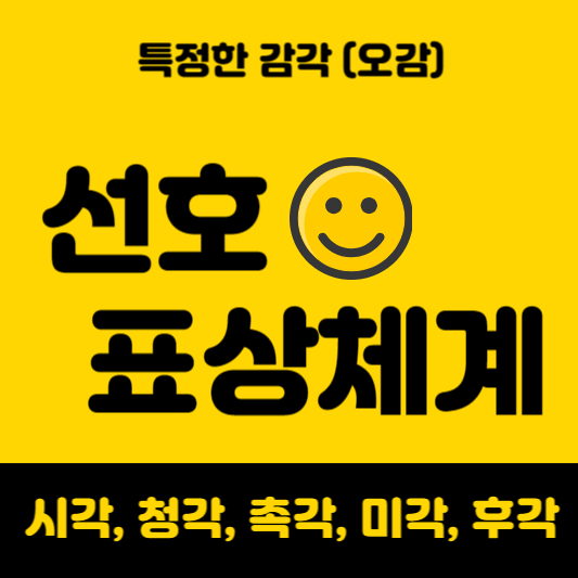 선호표상체계