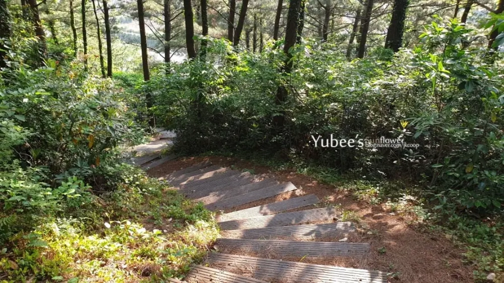 계단 구간