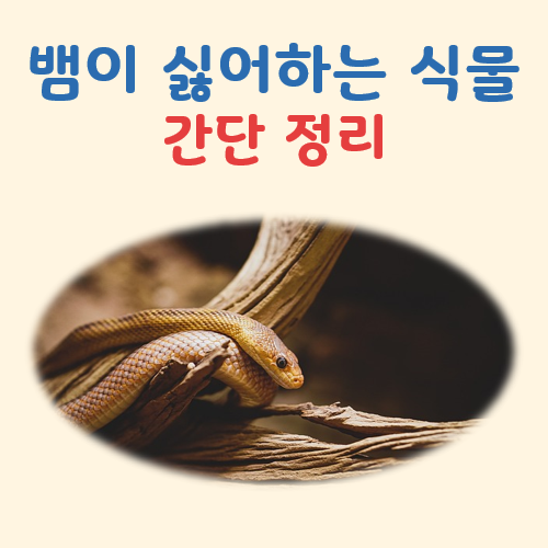 뱀이 싫어하는 식물 대표 이미지