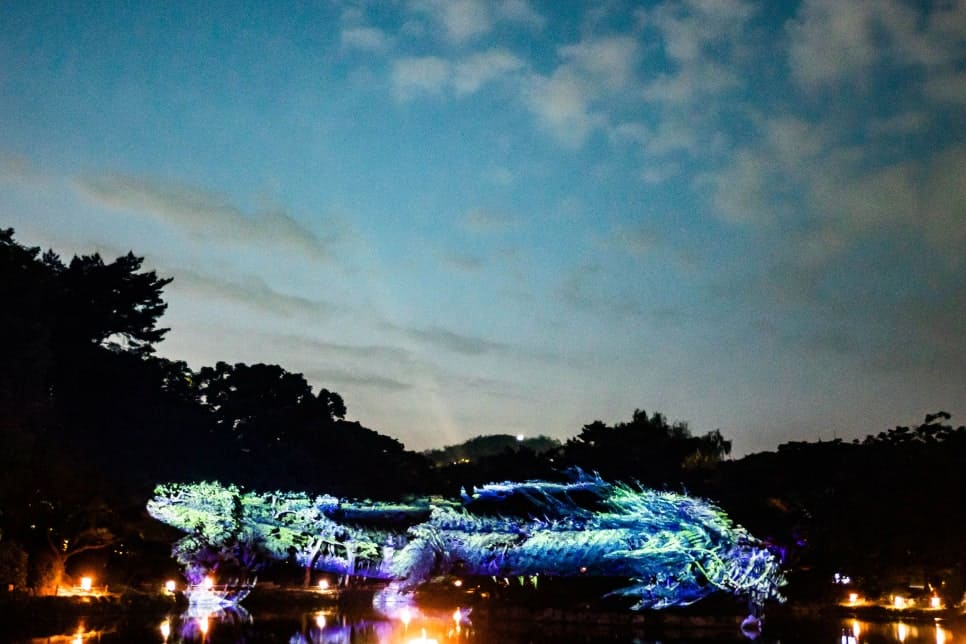 창경궁 물빛연화 미디어아트