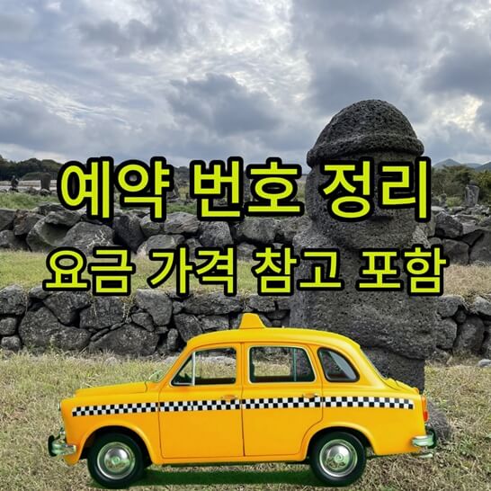 제주-돌-택시