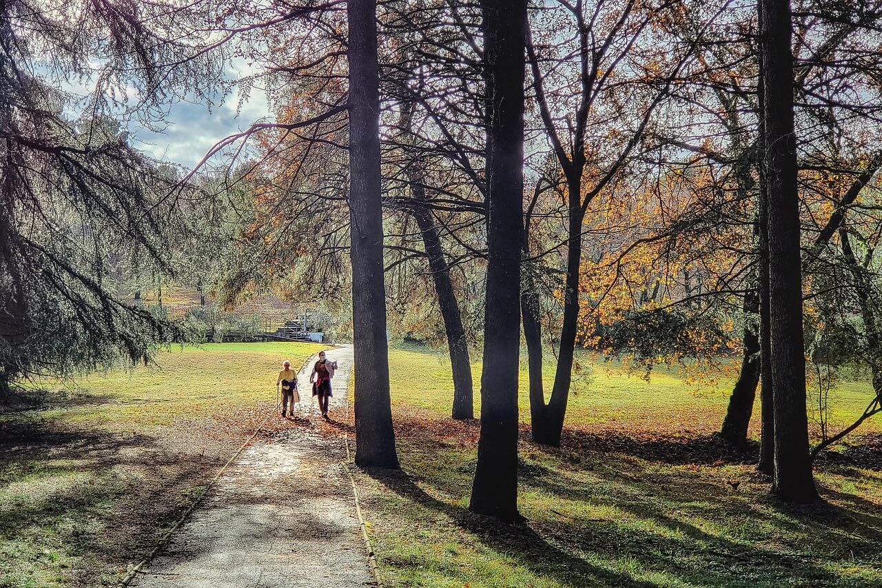 부산 연제구 축하 화분, 축하 화환, 개업 화분, 당일 배송, 꽃배달, 개업 선물 추천