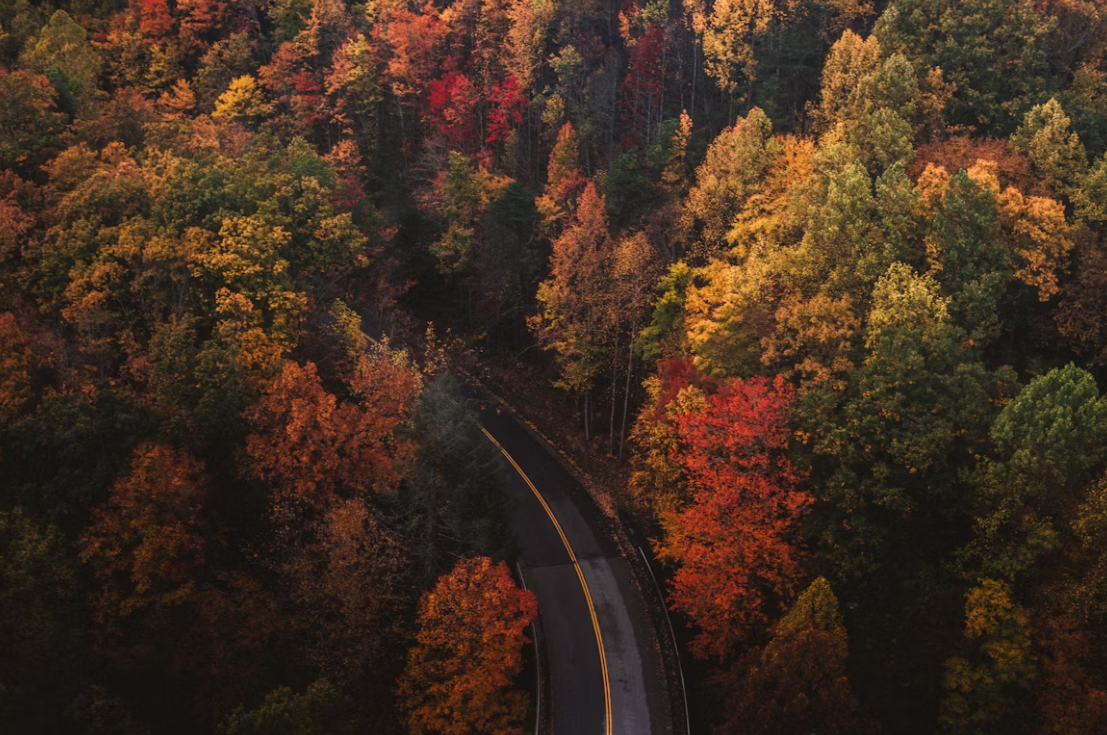 가을철 면역력 떨어지는 이유와 꼭 챙겨야 할 영양소 5가지