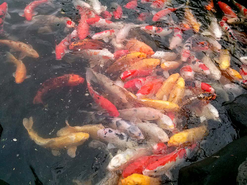 생각하는 정원(Spirited Garden)