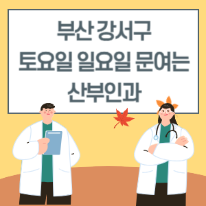 부산 강서구 토요일 일요일 산부인과 진료 병원 리스트